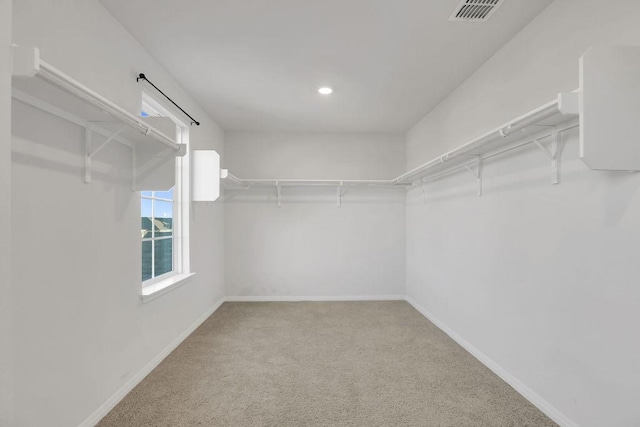 walk in closet featuring carpet flooring