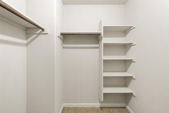 view of walk in closet