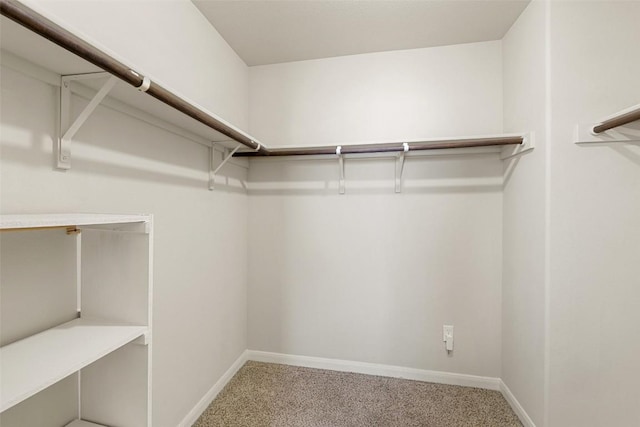 walk in closet with carpet