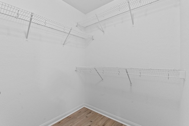 walk in closet with hardwood / wood-style floors