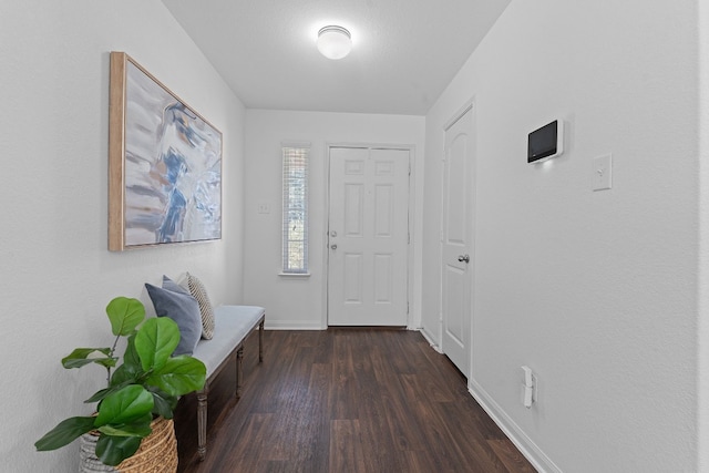 entryway with dark wood-type flooring