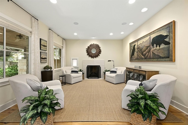 living room featuring light hardwood / wood-style floors