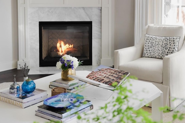 details with a premium fireplace