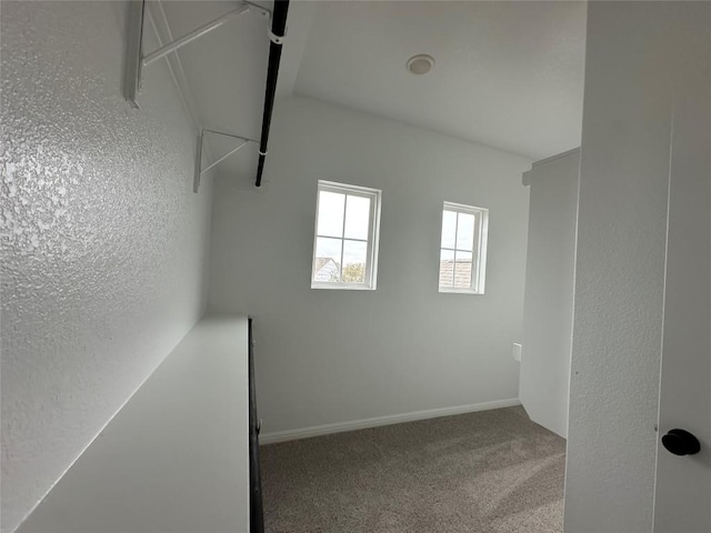 spacious closet with carpet floors