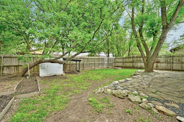 view of yard featuring a storage unit