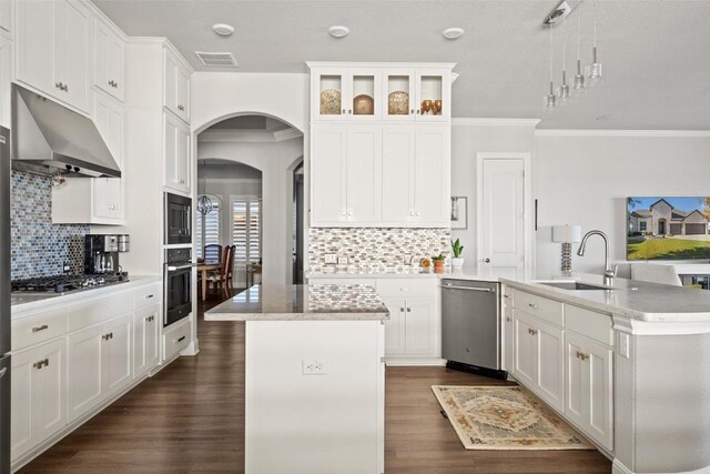 1745 Liguria Ct, Leander, TX 78641 - kitchen featuring a sink, under cabinet range hood, stainless steel appliances, ornamental molding, and a kitchen island