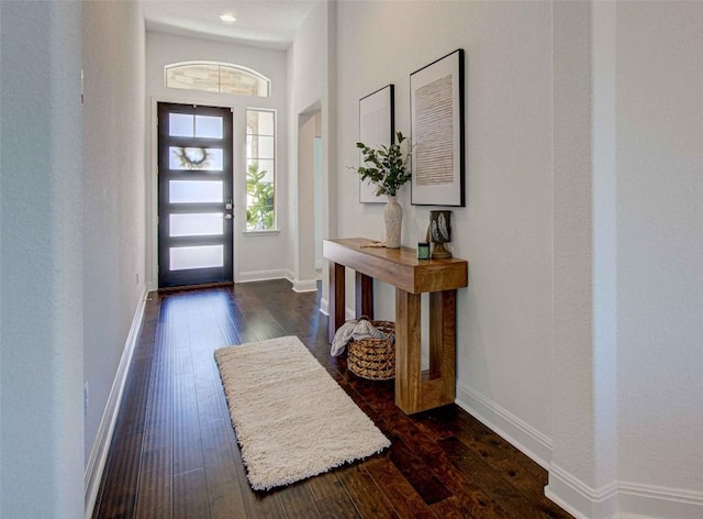 foyer entrance with dark hardwood / wood-style floors