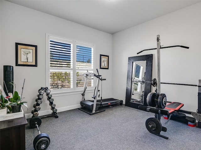 exercise area featuring carpet floors