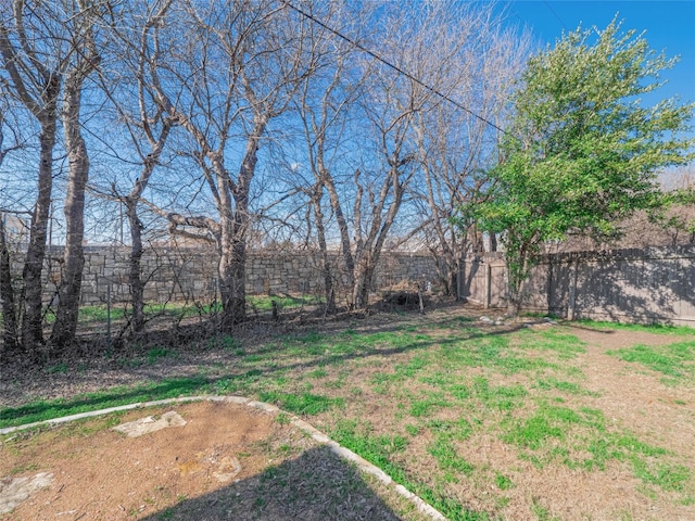 1416 Thibodeaux Dr, Round Rock, TX 78664 - view of yard
