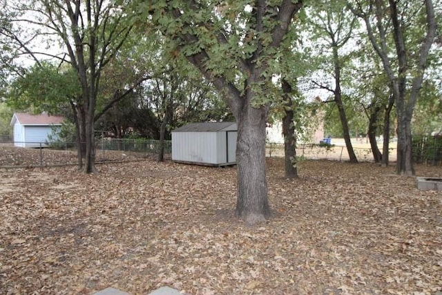 view of yard with a shed