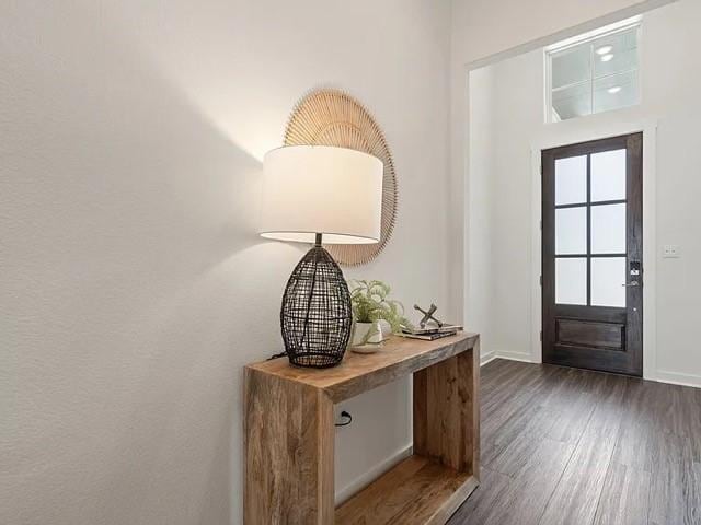 foyer entrance featuring dark hardwood / wood-style flooring