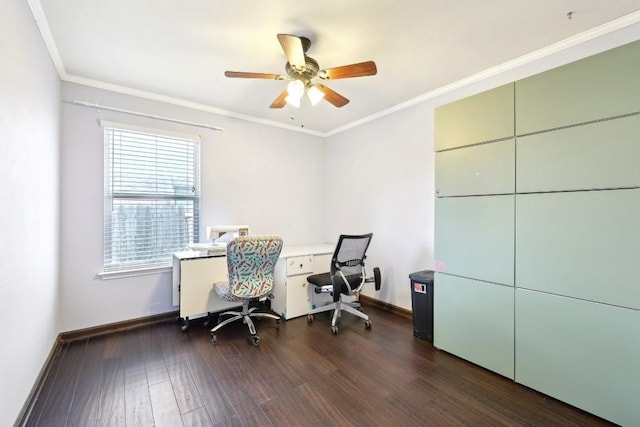 office featuring crown molding, baseboards, ceiling fan, and dark wood-style flooring