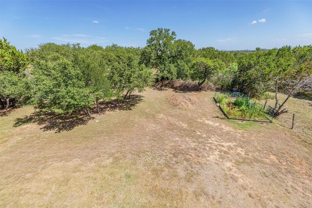103 Paloma Pl, Liberty Hill, TX 78642 - photo 24