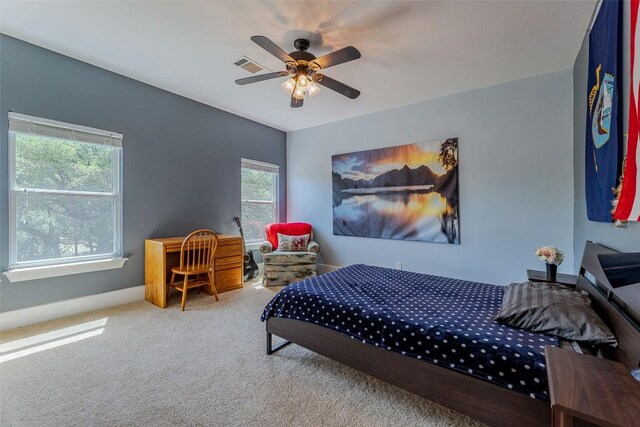 103 Paloma Pl, Liberty Hill, TX 78642 - photo 25