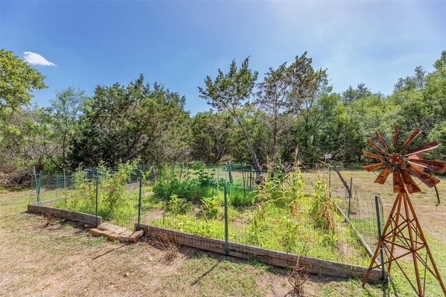 103 Paloma Pl, Liberty Hill, TX 78642 - photo 34