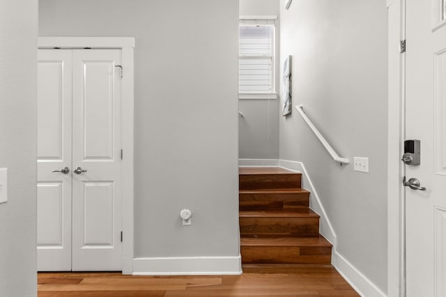 staircase with hardwood / wood-style floors