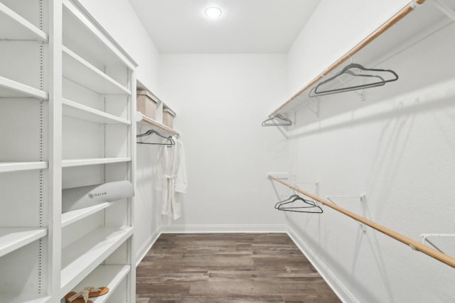 walk in closet with dark wood-type flooring