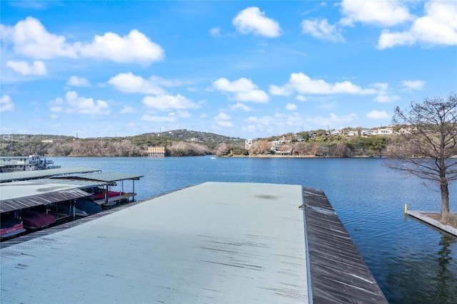 1500 Scenic Dr Unit 111, Austin, TX 78703 - photo 1
