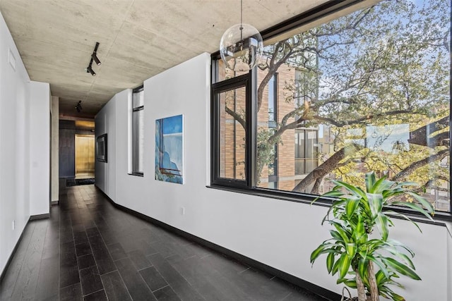 hallway with a wealth of natural light and dark wood-type flooring