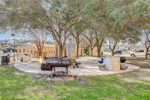 view of yard featuring an outdoor fire pit