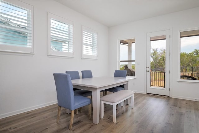 dining room featuring hardwood / wood-style flooring and plenty of natural light