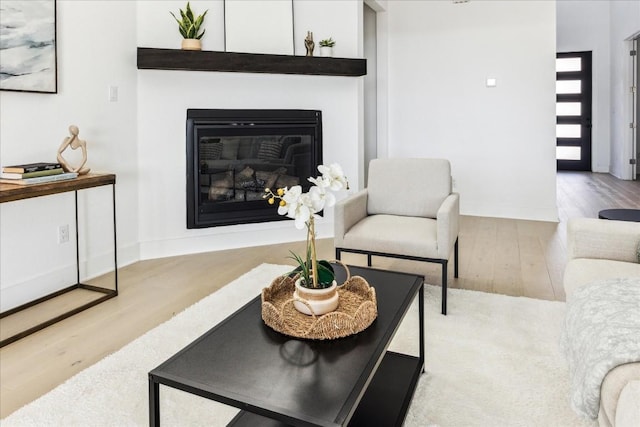 living room featuring light hardwood / wood-style flooring