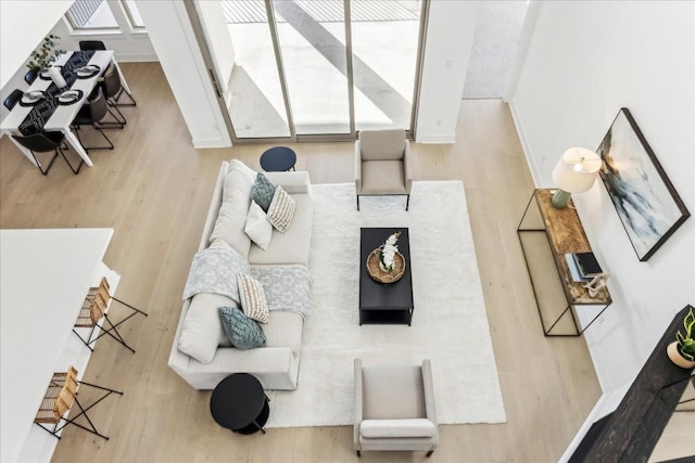 living room featuring wood-type flooring