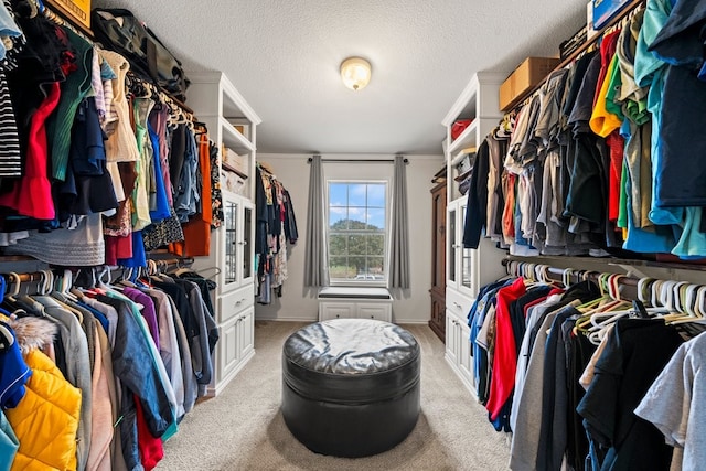 spacious closet with light carpet