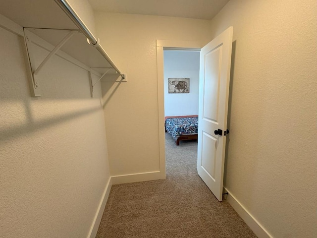 spacious closet with carpet flooring