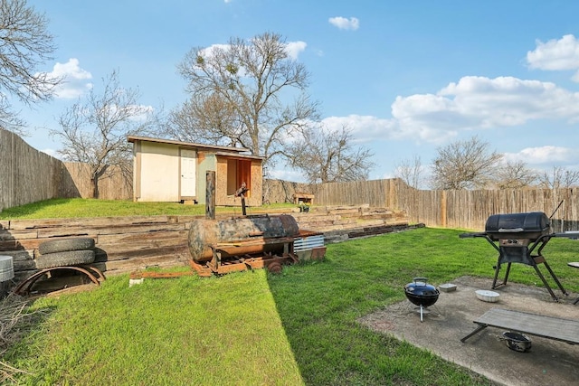 view of yard featuring a patio area and a storage unit