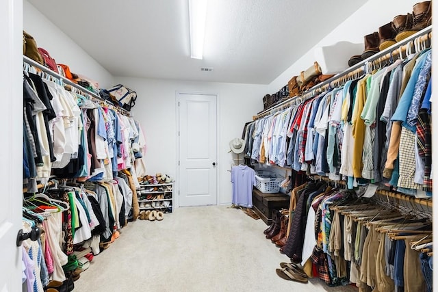 spacious closet with carpet floors