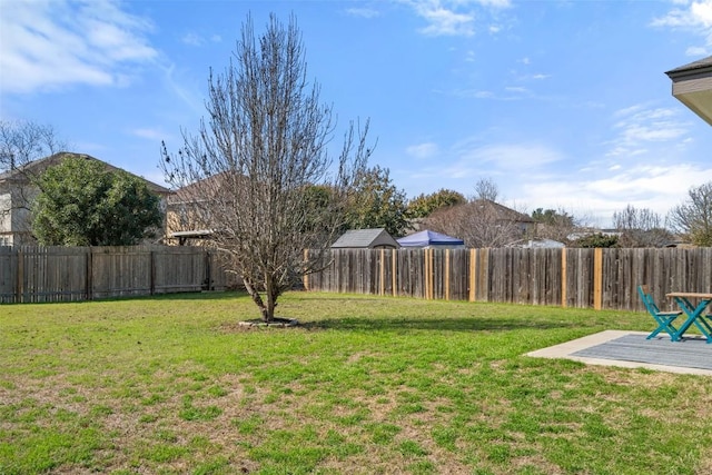 view of yard featuring a patio area