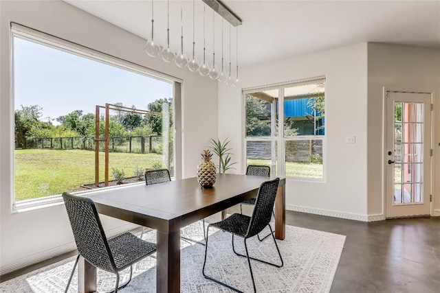 dining room with a wealth of natural light