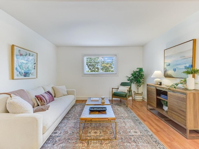 living room with hardwood / wood-style flooring