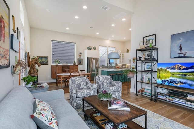 living room featuring wood-type flooring