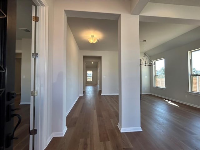 hall with dark wood-type flooring, a chandelier, plenty of natural light, and baseboards