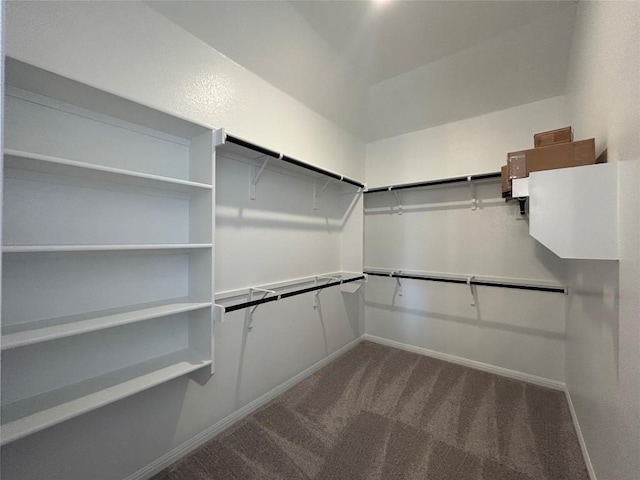 spacious closet with dark colored carpet