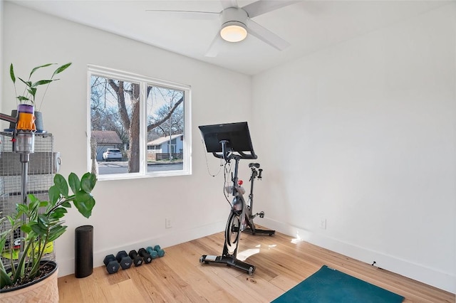 exercise room featuring hardwood / wood-style flooring and ceiling fan