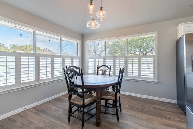 dining room featuring dark hardwood / wood-style flooring