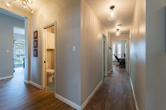 hallway featuring dark wood-type flooring