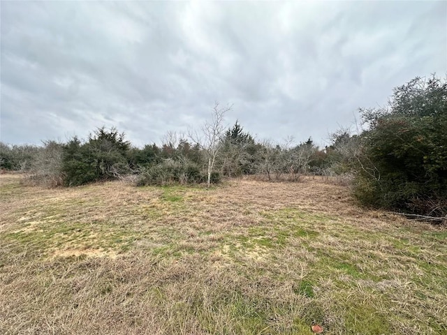 1190 Plant Rd, Luling TX, 78648 land for sale