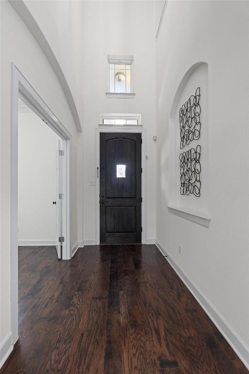 entrance foyer with hardwood / wood-style floors and a high ceiling