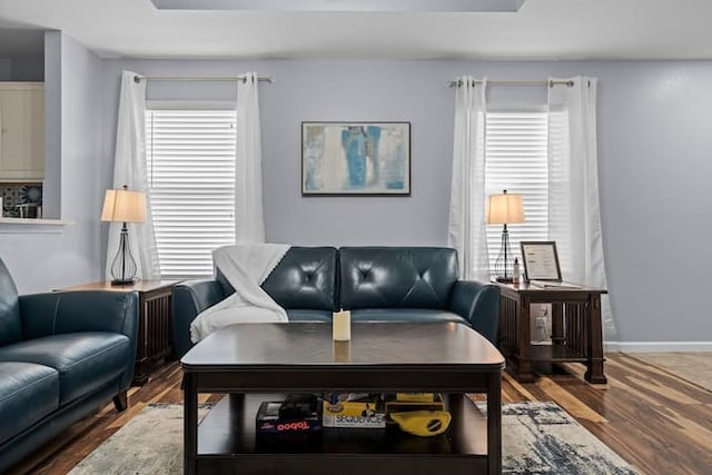 living room with hardwood / wood-style floors and a healthy amount of sunlight