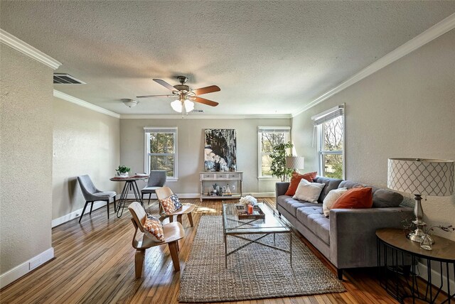 living room featuring crown molding, hardwood / wood-style floors, and a textured ceiling