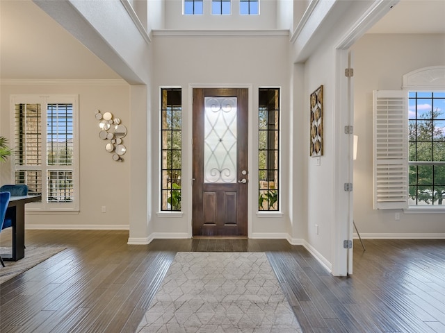 foyer with a high ceiling, a healthy amount of sunlight, and dark hardwood / wood-style floors