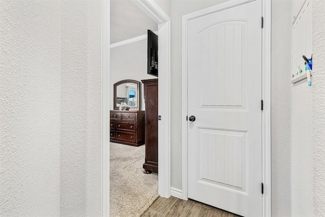 hallway with crown molding and hardwood / wood-style flooring