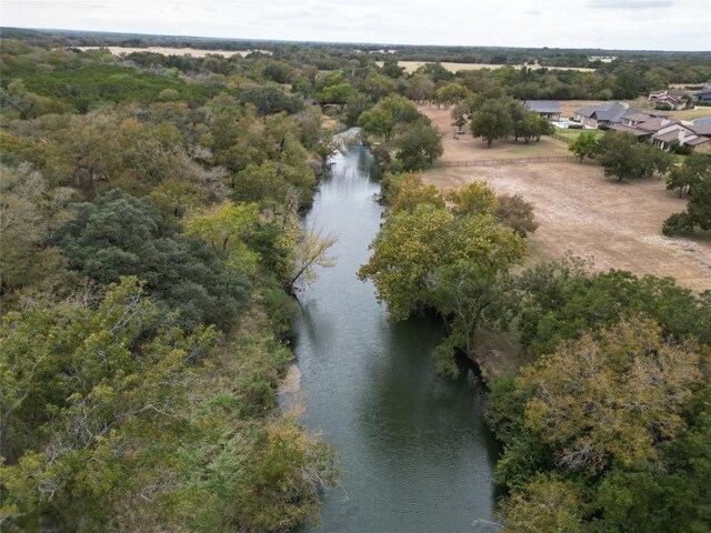 748 Buffalo Trl, Liberty Hill, TX 78642 - photo 4