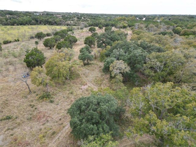 748 Buffalo Trl, Liberty Hill, TX 78642 - photo 5
