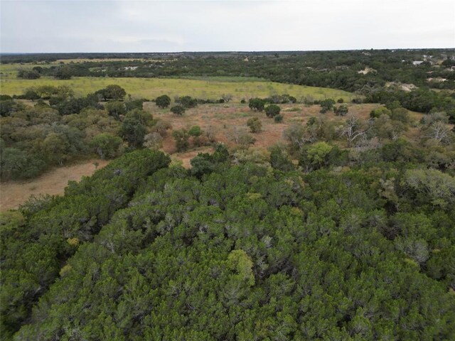 748 Buffalo Trl, Liberty Hill, TX 78642 - photo 24