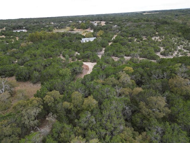 748 Buffalo Trl, Liberty Hill, TX 78642 - photo 25
